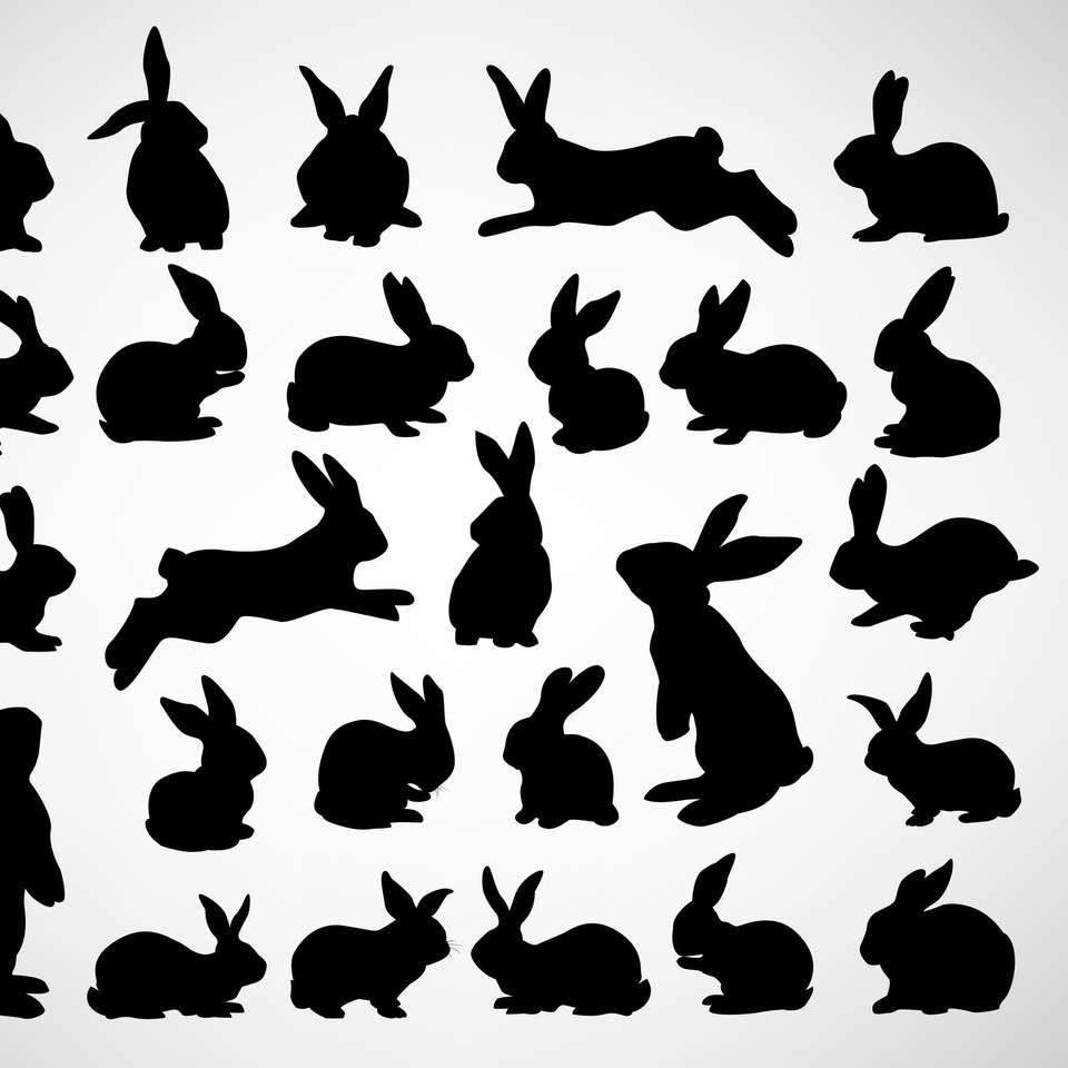 Rabbit in various poses sliding puzzle online
