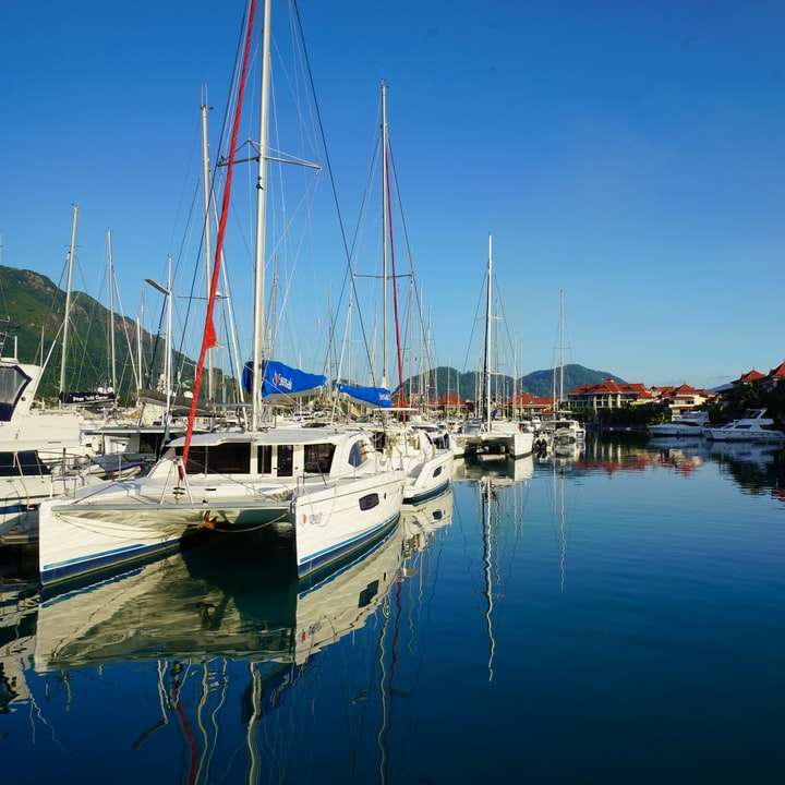 Vit och blå båt på vatten under dagtid Pussel online