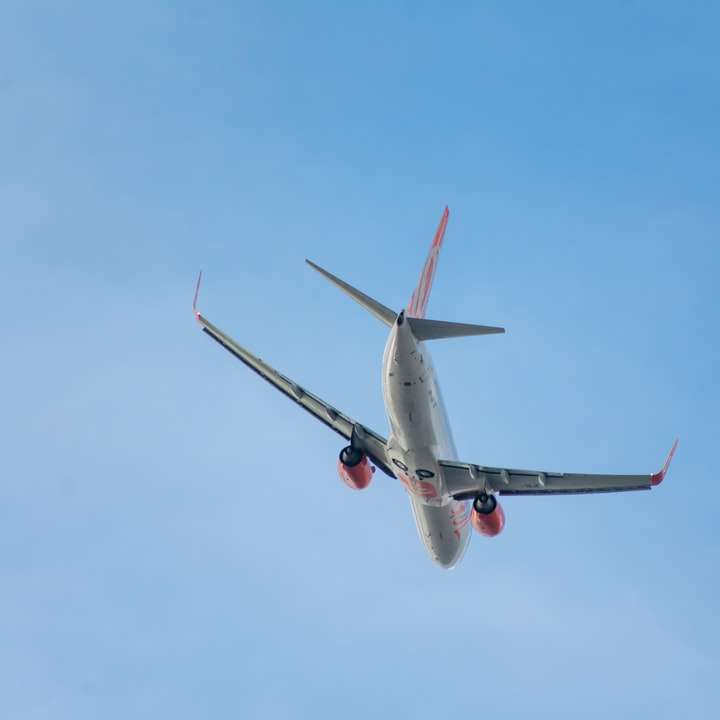 Vitt och rött flygplan i himlen glidande pussel online