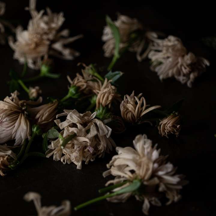 Vita och bruna blommor på svart textil Pussel online