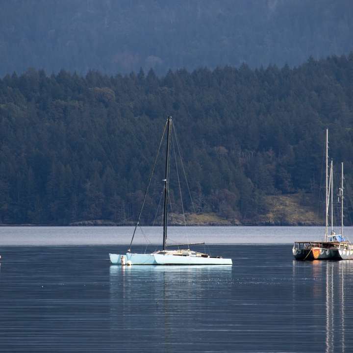 Бяла и синя платна лодка по водна вода през деня плъзгащ се пъзел онлайн