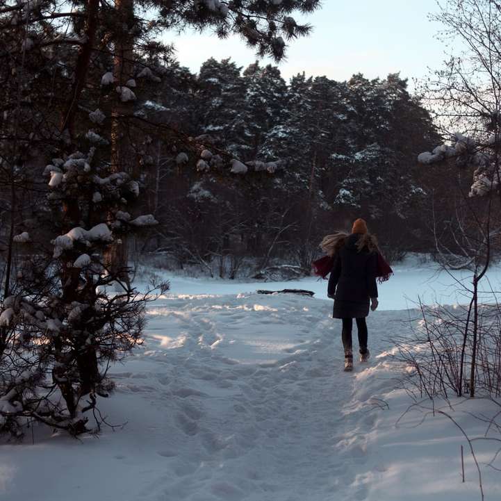 Mujer en abrigo negro caminando en suelo cubierto de nieve rompecabezas en línea