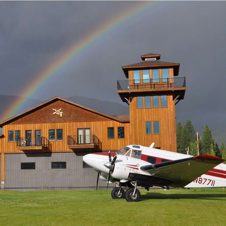 Avião branco no campo de grama verde puzzle online