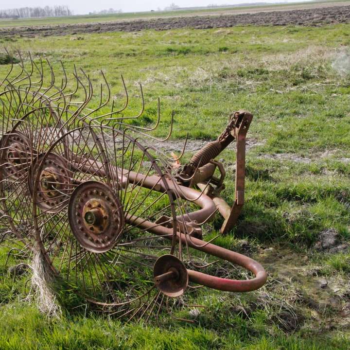коричневе металеве колесо на зеленій траві поля в денний час онлайн пазл