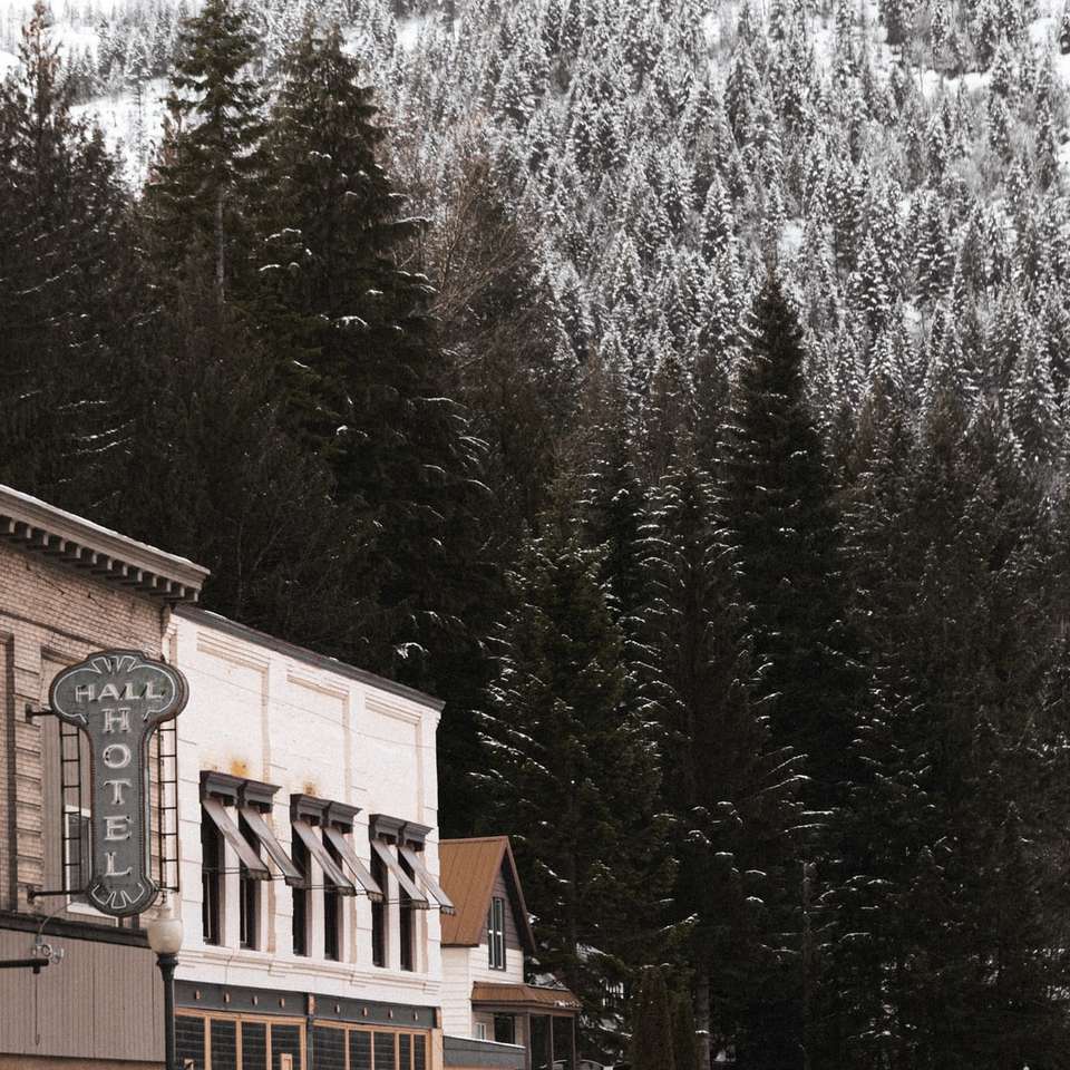 Edifício de concreto marrom perto de pinheiros cobertos de neve puzzle deslizante online