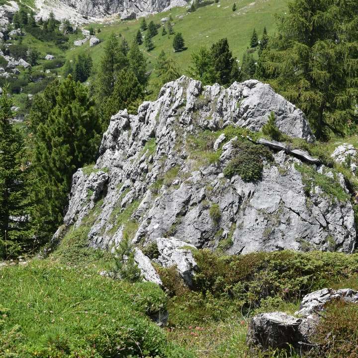 Zöld fűmező és szürke sziklás hegy napközben online puzzle