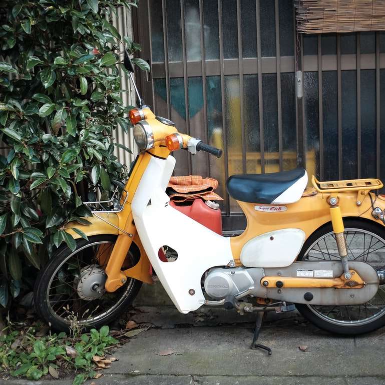 оранжев и бял мотор скутер, паркиран до зелени растения онлайн пъзел