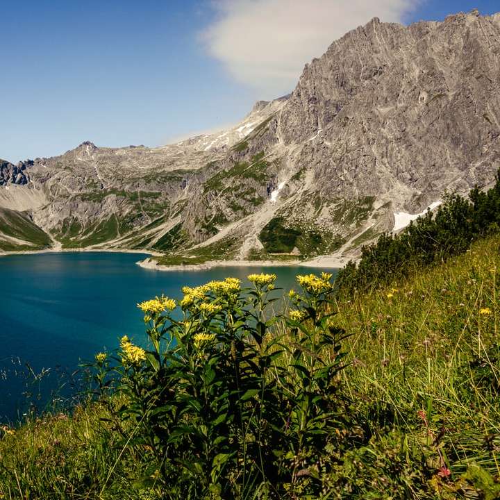 Blå sjö omgiven av gröna växter och gråa berg glidande pussel online