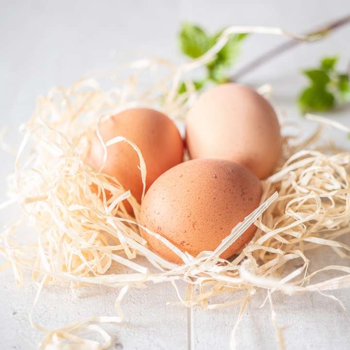 Brązowe jajko na białym gnieździe puzzle przesuwne online