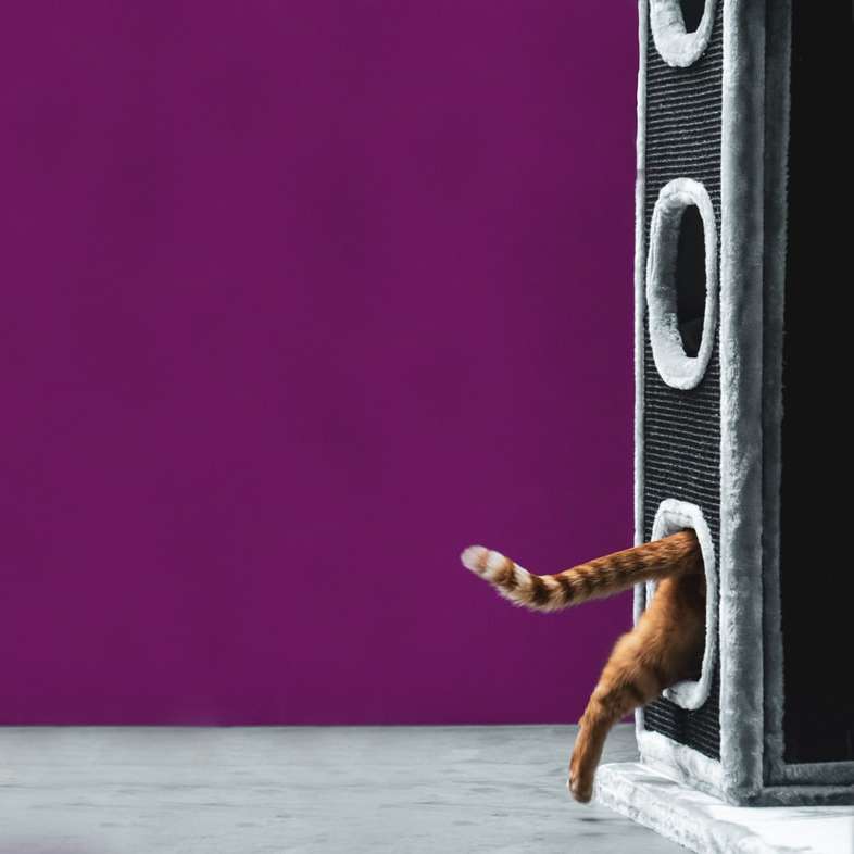 Brązowy kot na purpurowej podłodze puzzle online