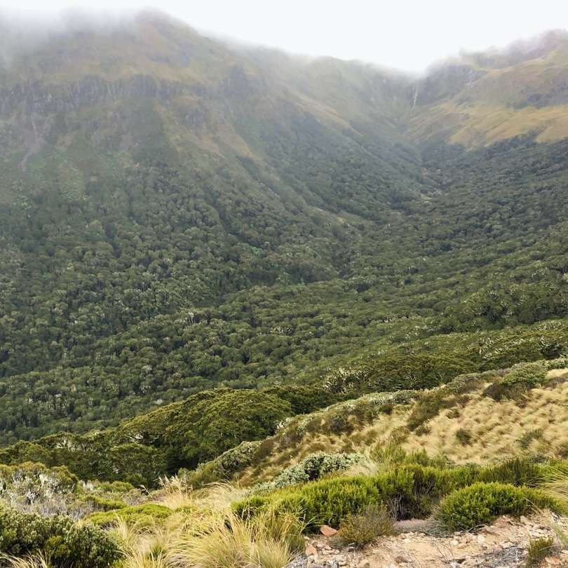 Groen gras bedekt berg overdag schuifpuzzel online