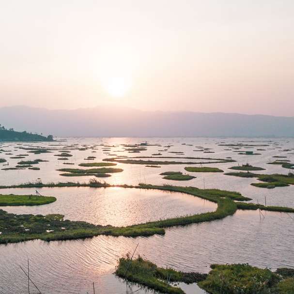 Zielona trawa na jeziorze w ciągu dnia puzzle przesuwne online