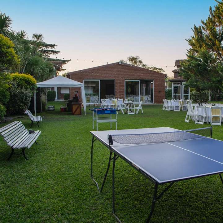 Mesa de tenis de mesa en blanco y negro en campo de hierba verde rompecabezas en línea