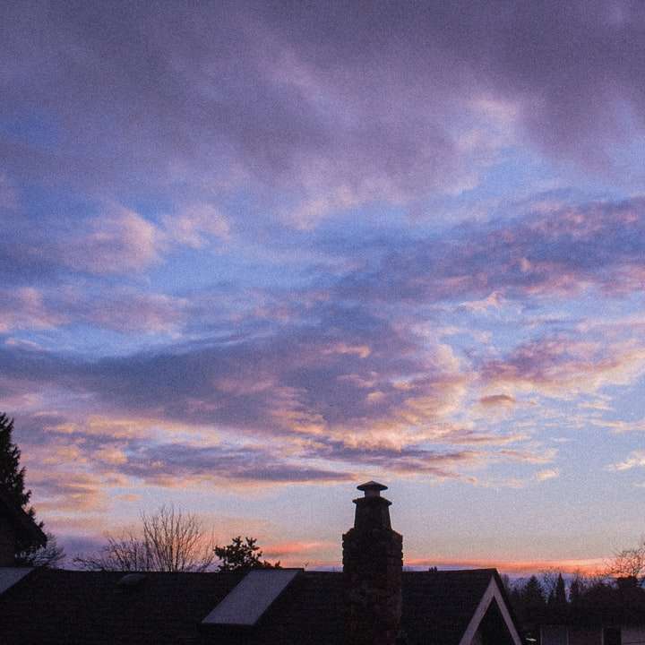 Silhouet van bomen en gebouw onder bewolkte hemel online puzzel