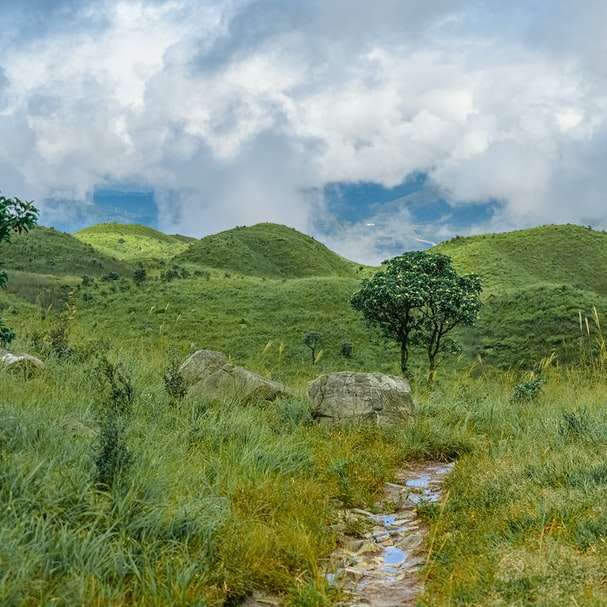 Campo de grama verde e montanha sob nuvens brancas puzzle online