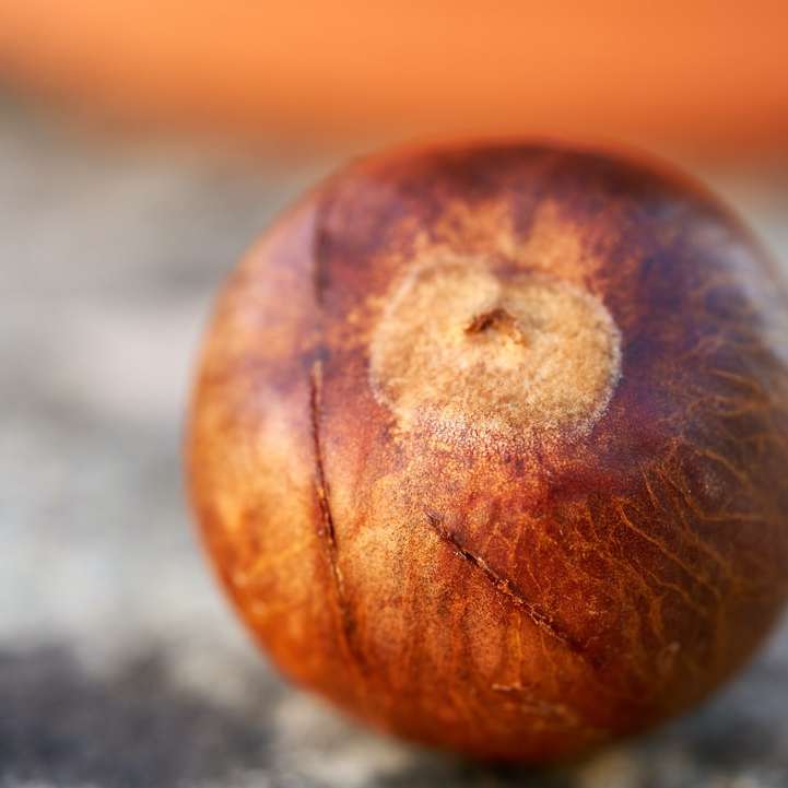 brown round fruit on gray surface online puzzle