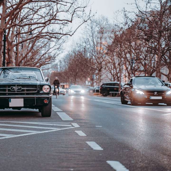 Carro preto na estrada perto de árvores nuas durante o dia puzzle online