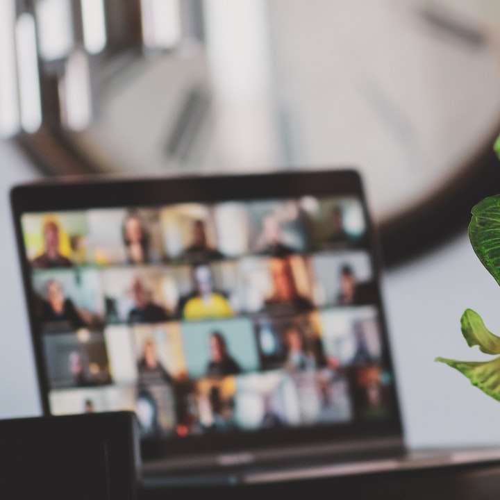 чорний телевізор з плоским екраном увімкнено біля зеленої рослини онлайн пазл