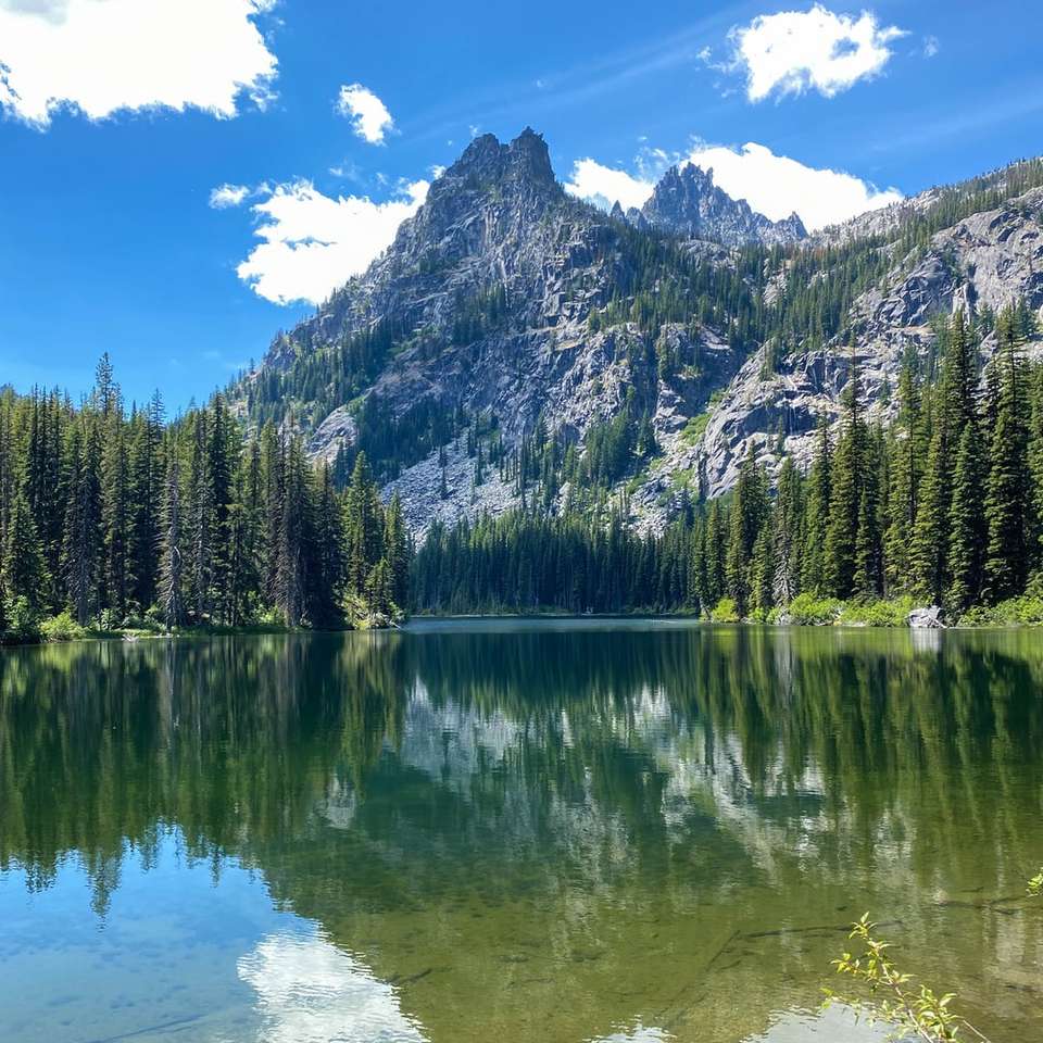 Pini de pin verde lângă lac și munte sub cerul albastru puzzle online