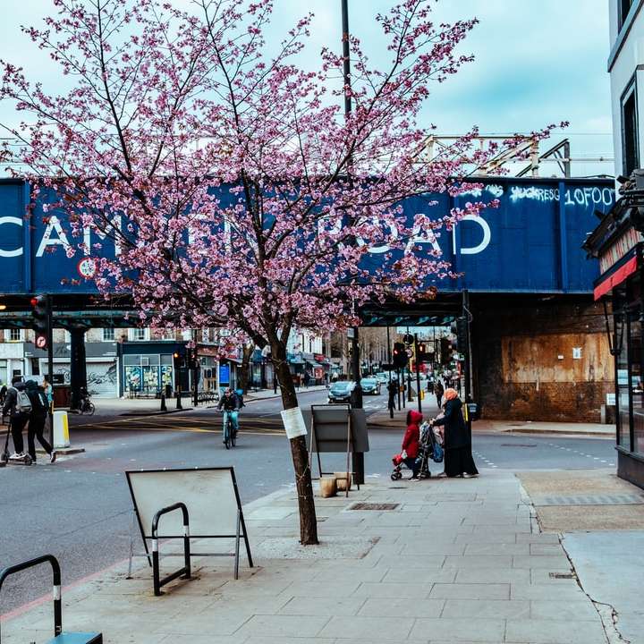 Leute, die auf dem Bürgersteig nahe rosa Kirschblütenbäume gehen Online-Puzzle