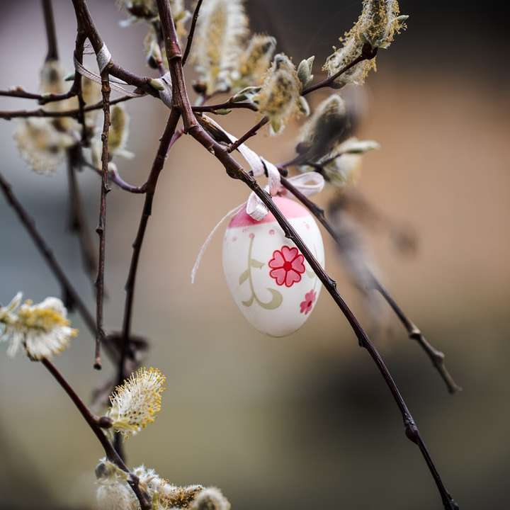 boutons de fleurs blancs et roses dans une lentille de changement d'inclinaison puzzle coulissant en ligne