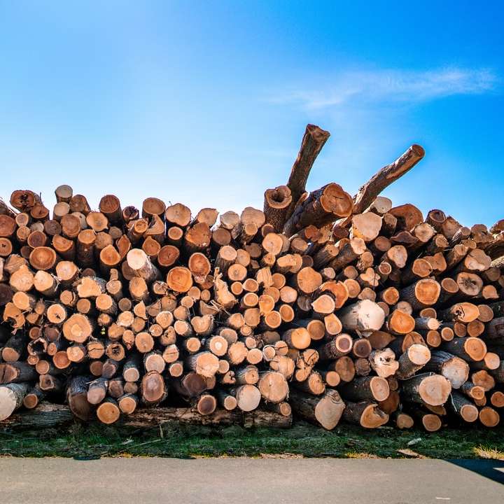 Pila de troncos de madera marrones rompecabezas en línea