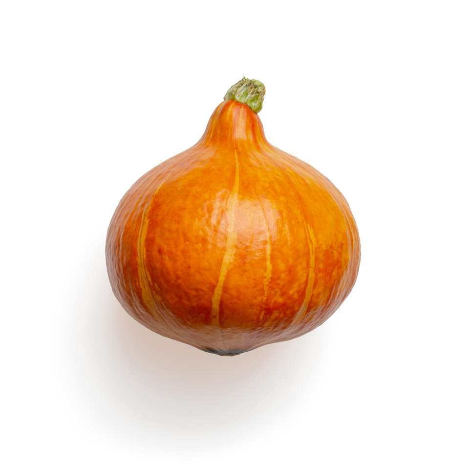 orange pumpkin on white background online puzzle