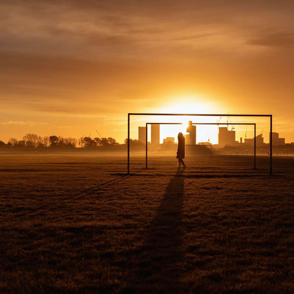 Silhouet van persoon die zich op gebied bevindt tijdens zonsondergang online puzzel