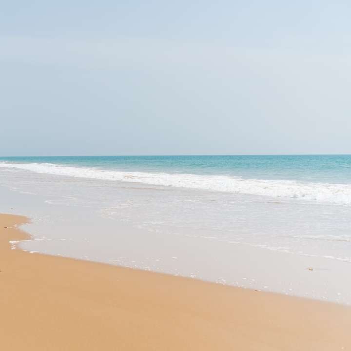Praia de areia marrom durante o dia puzzle online