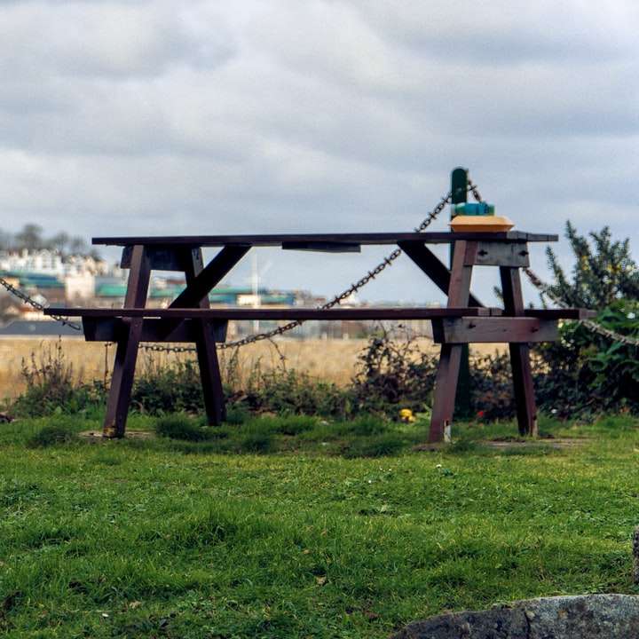 Καφέ ξύλινη γέφυρα πάνω από πράσινο γρασίδι κατά τη διάρκεια της ημέρας online παζλ