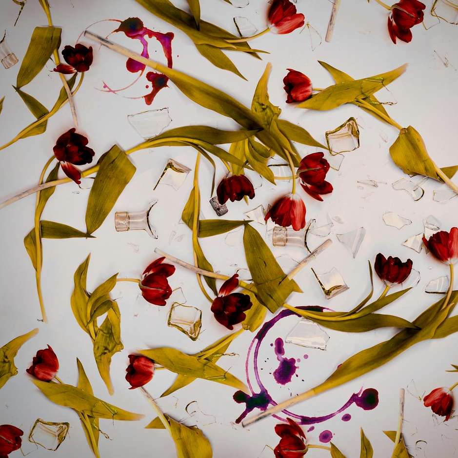 pétalas de flores vermelhas e amarelas puzzle online