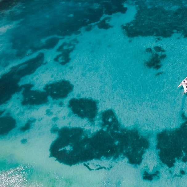 Fehér csónak a kék tenger víz alatt nappali csúszó puzzle online