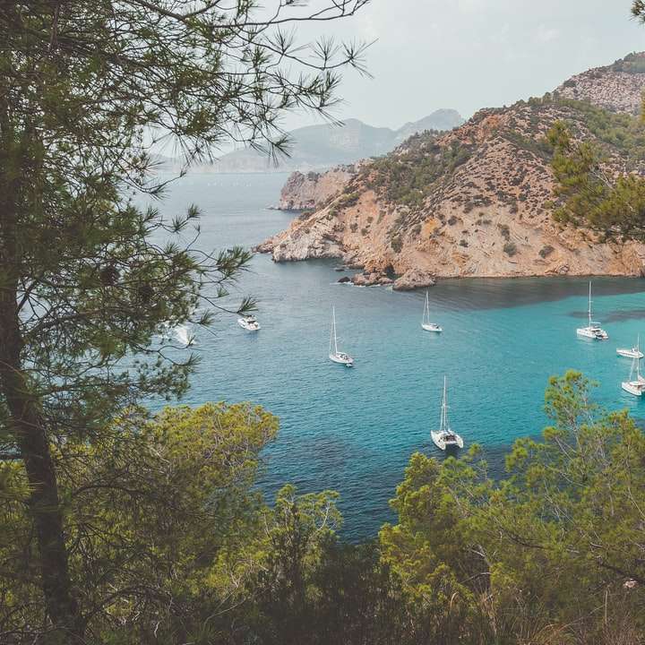 Barche bianche sul mare vicino agli alberi verdi durante il giorno puzzle scorrevole online