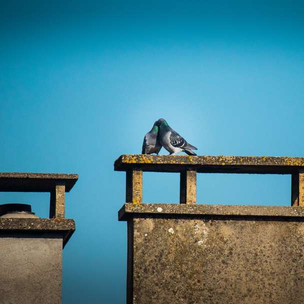 Barna fa kereszt a barna betonfalon csúszó puzzle online
