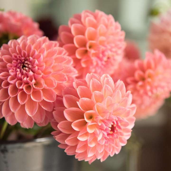 Rózsaszín virágok tiszta üveg vázában online puzzle