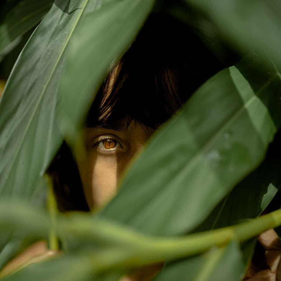 Frau, die hinter grünen Blättern versteckt Online-Puzzle