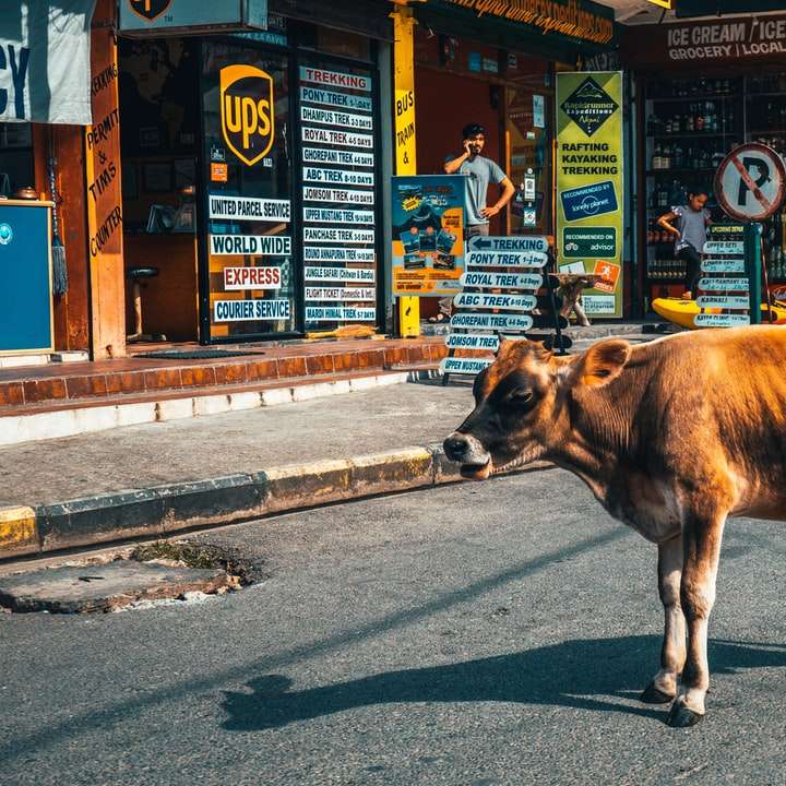 Mucca marrone sulla strada asfaltata grigia durante il giorno puzzle scorrevole online