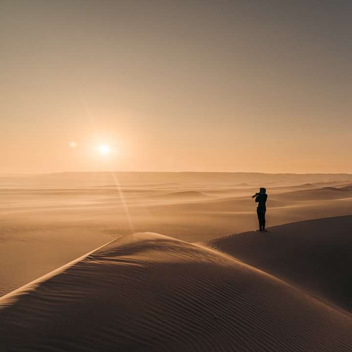 Silhouette a személy állt a homokban naplementekor online puzzle