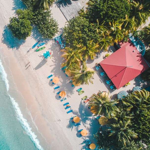 Légi nézet a strand napközben online puzzle