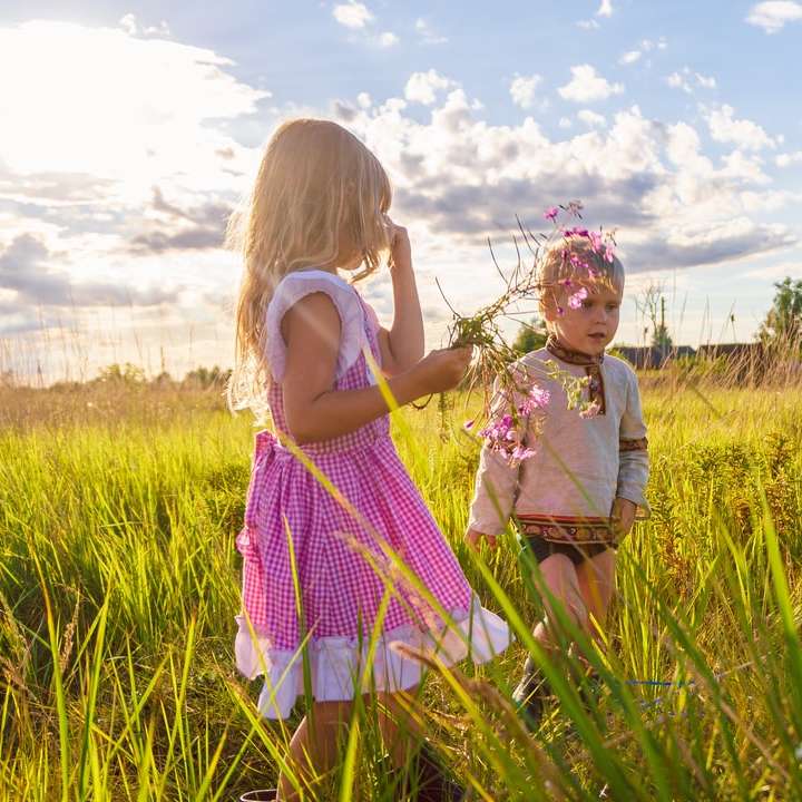 Lány rózsaszín és fehér ruhában állt a zöld fű mező csúszó puzzle online