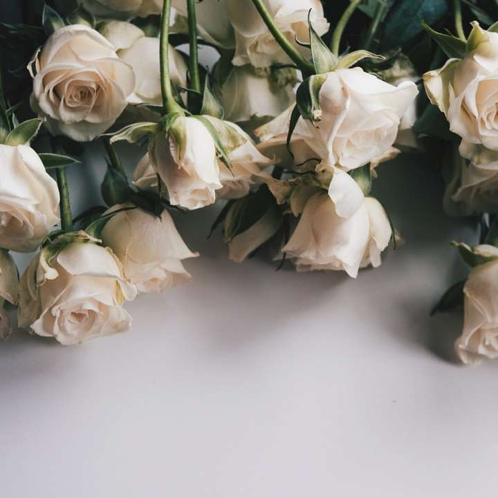 Roses blanches sur la table blanche puzzle coulissant en ligne