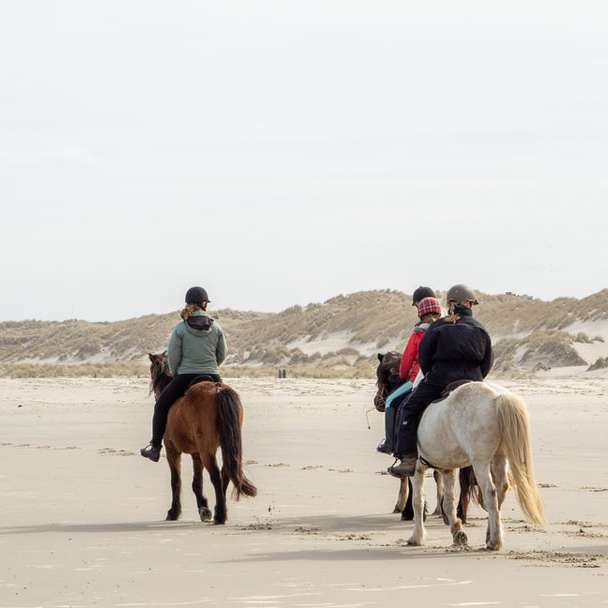 man in blue jacket riding white horse on white sand online puzzle