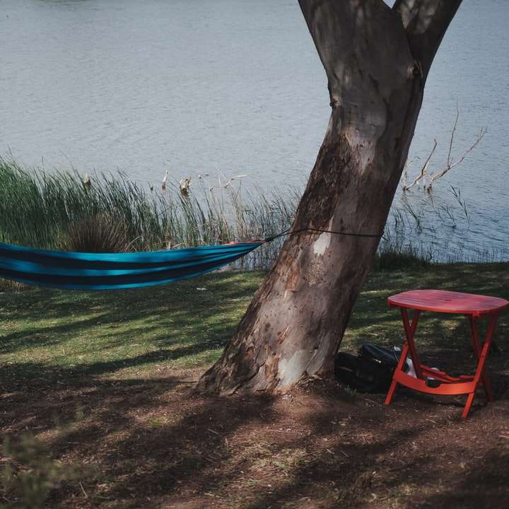 Blå hängmatta hängde på trädstammen nära vattenkroppen Pussel online