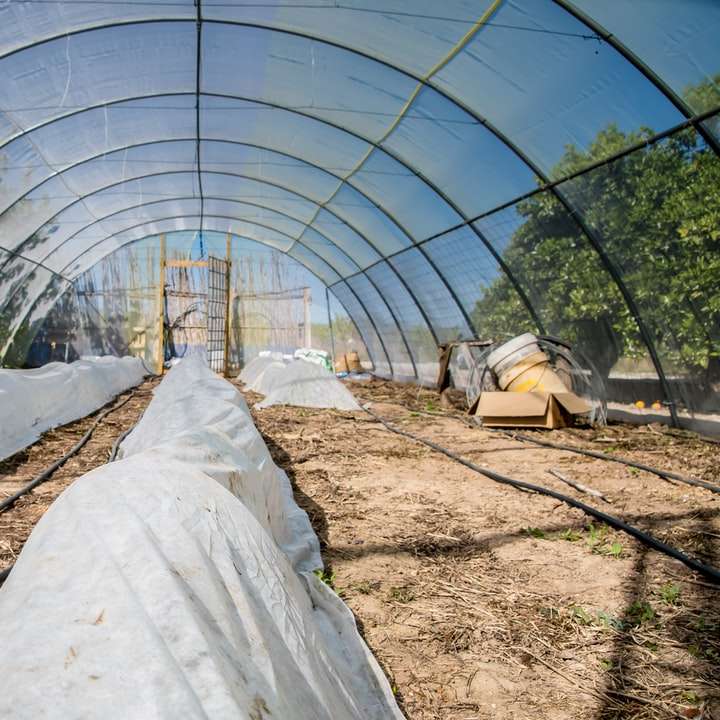 бяла палатка на кафява почва плъзгащ се пъзел онлайн