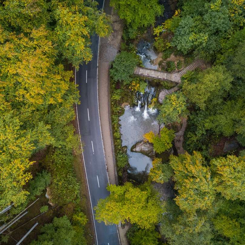 Vista aérea, de, árvores verdes e rio puzzle deslizante online