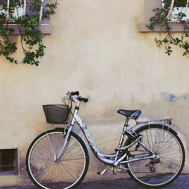 Kék városi kerékpár a zöld növények mellett parkolt online puzzle