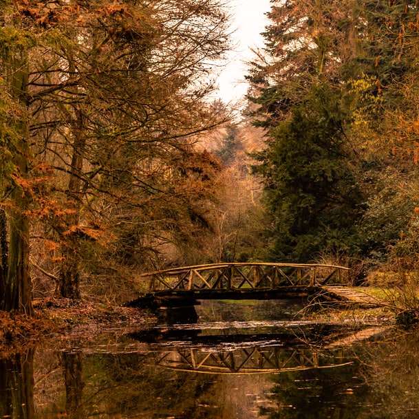 barna fából készült híd a folyón körülvéve fákkal körülvéve csúszó puzzle online