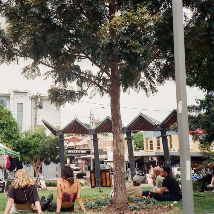 хора, седящи на зелено трева в близост до зелени дървета онлайн пъзел