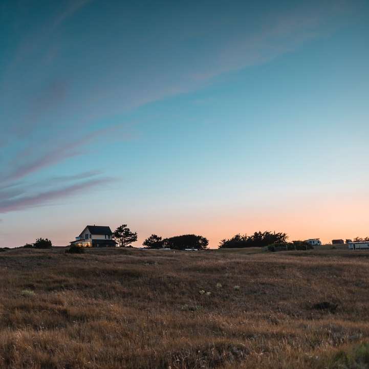 Casa branca e preta no campo de grama verde sob o céu azul puzzle deslizante online
