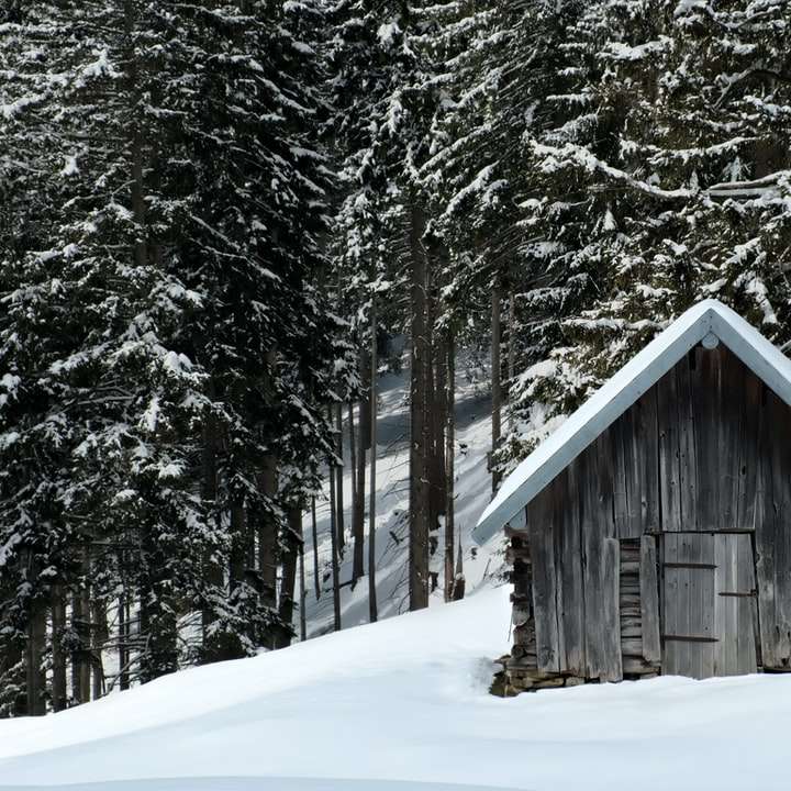 коричневый деревянный дом посреди заснеженного леса онлайн-пазл